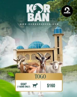 Korban TOGO