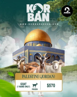 Korban Palestine Goat (Frozen)