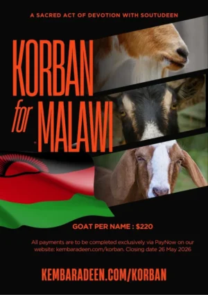 Malawi Goat