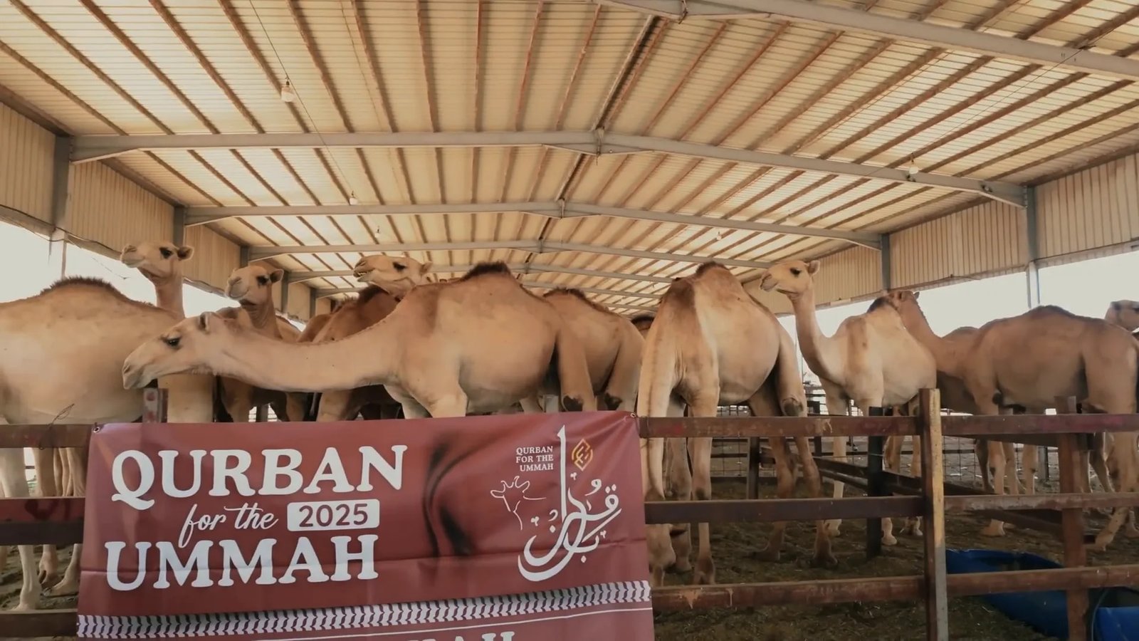 Pemandangan Ka'bah dan suasana tawaf di Mekah